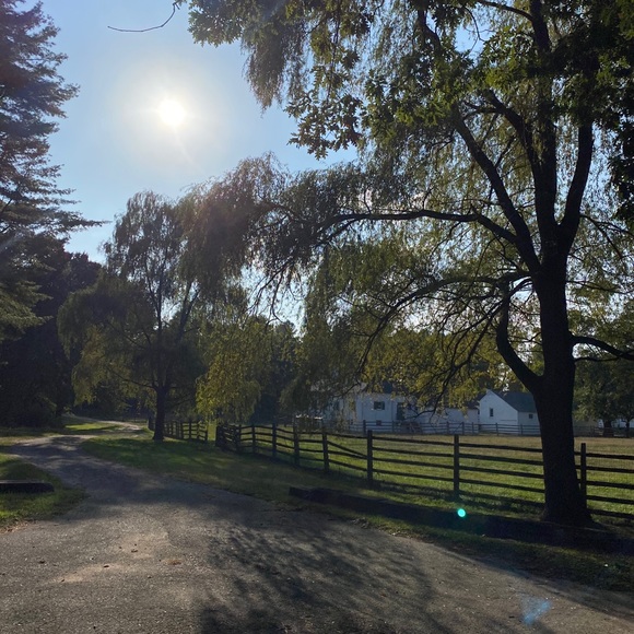 Meet your Posher, Ali - Picture 9 of 12